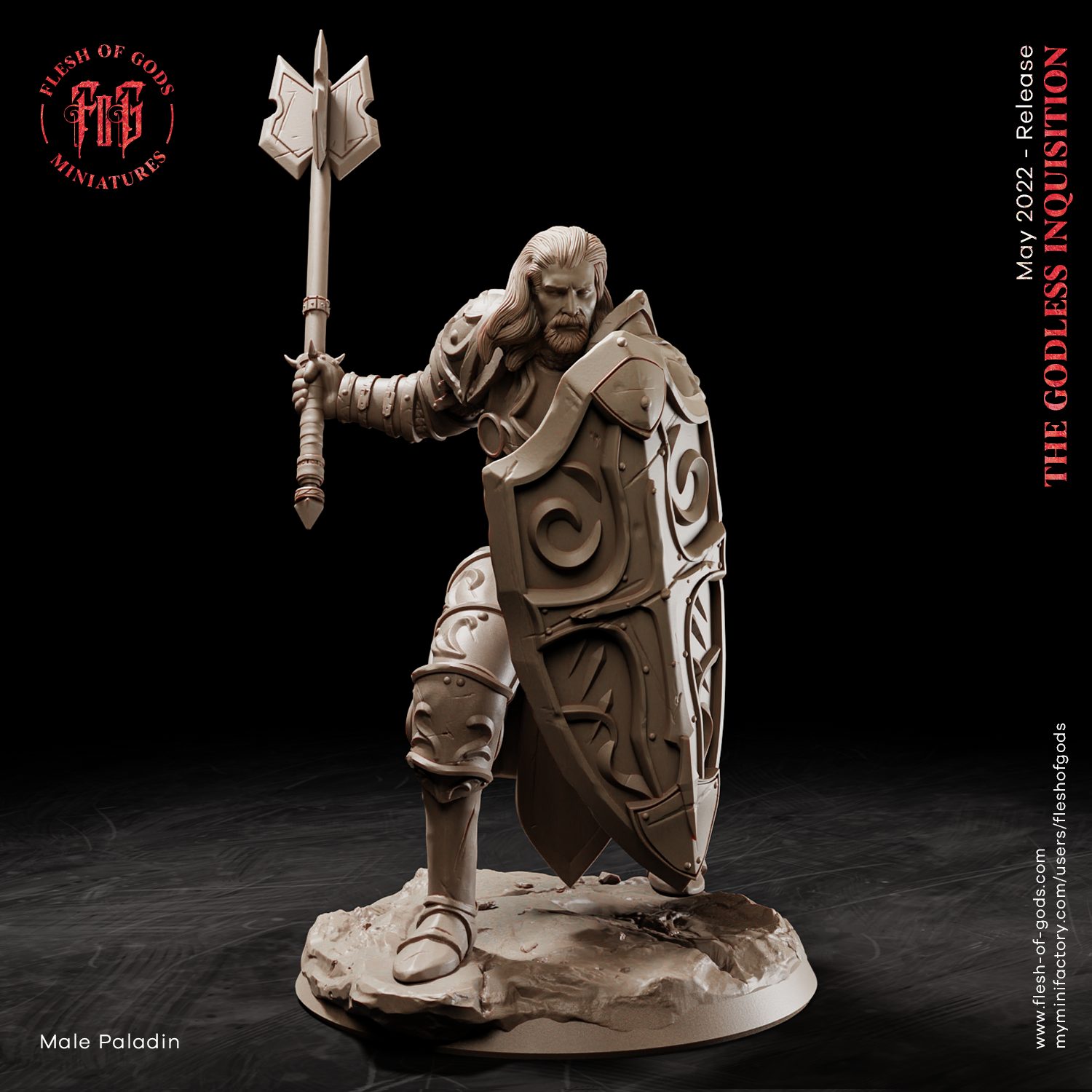Male Paladin