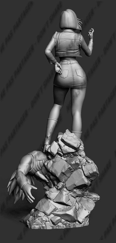 Android18 Final Tsb view 3
