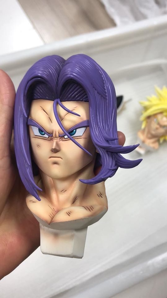Trunks view 2