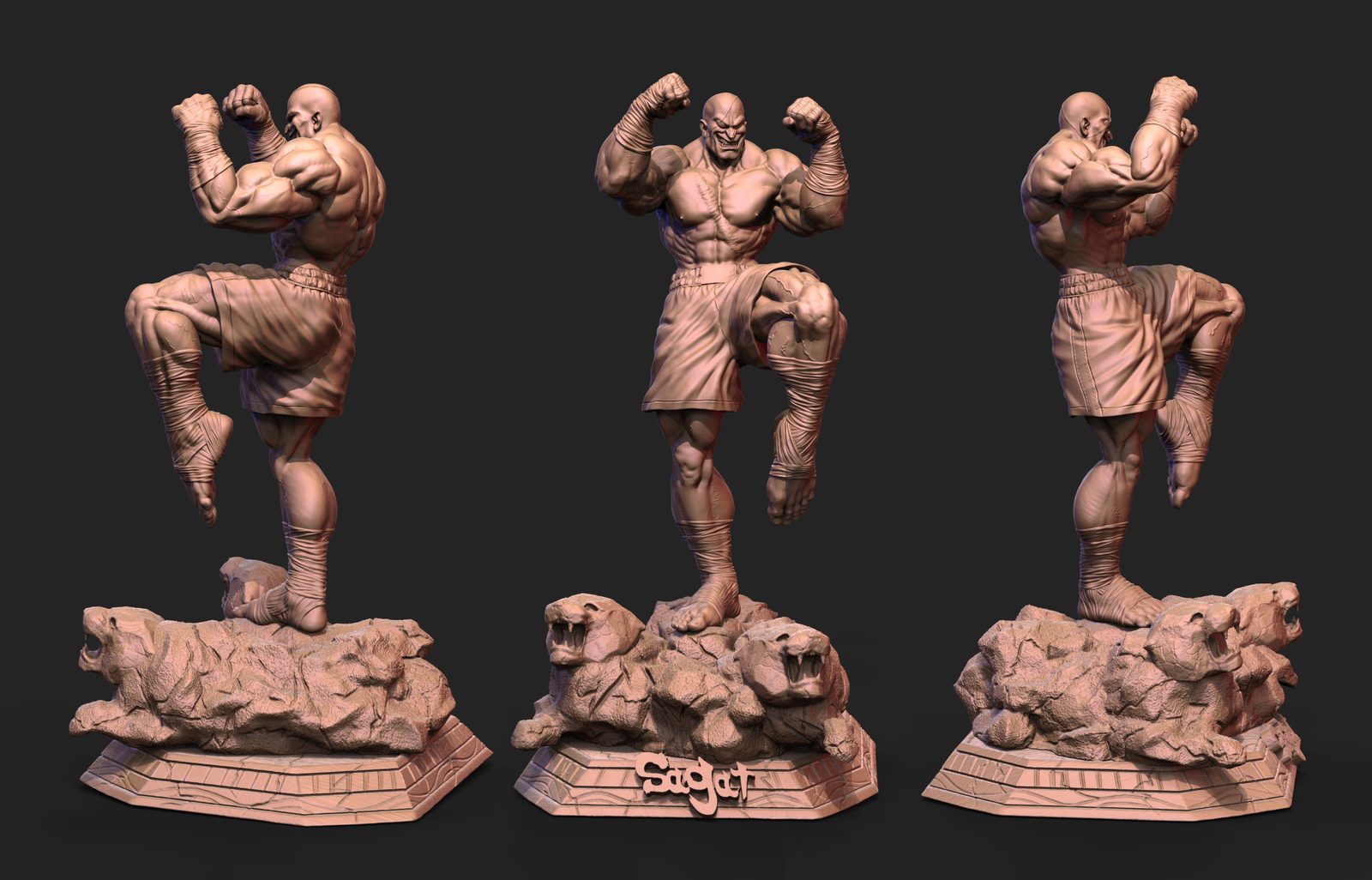 Sagat