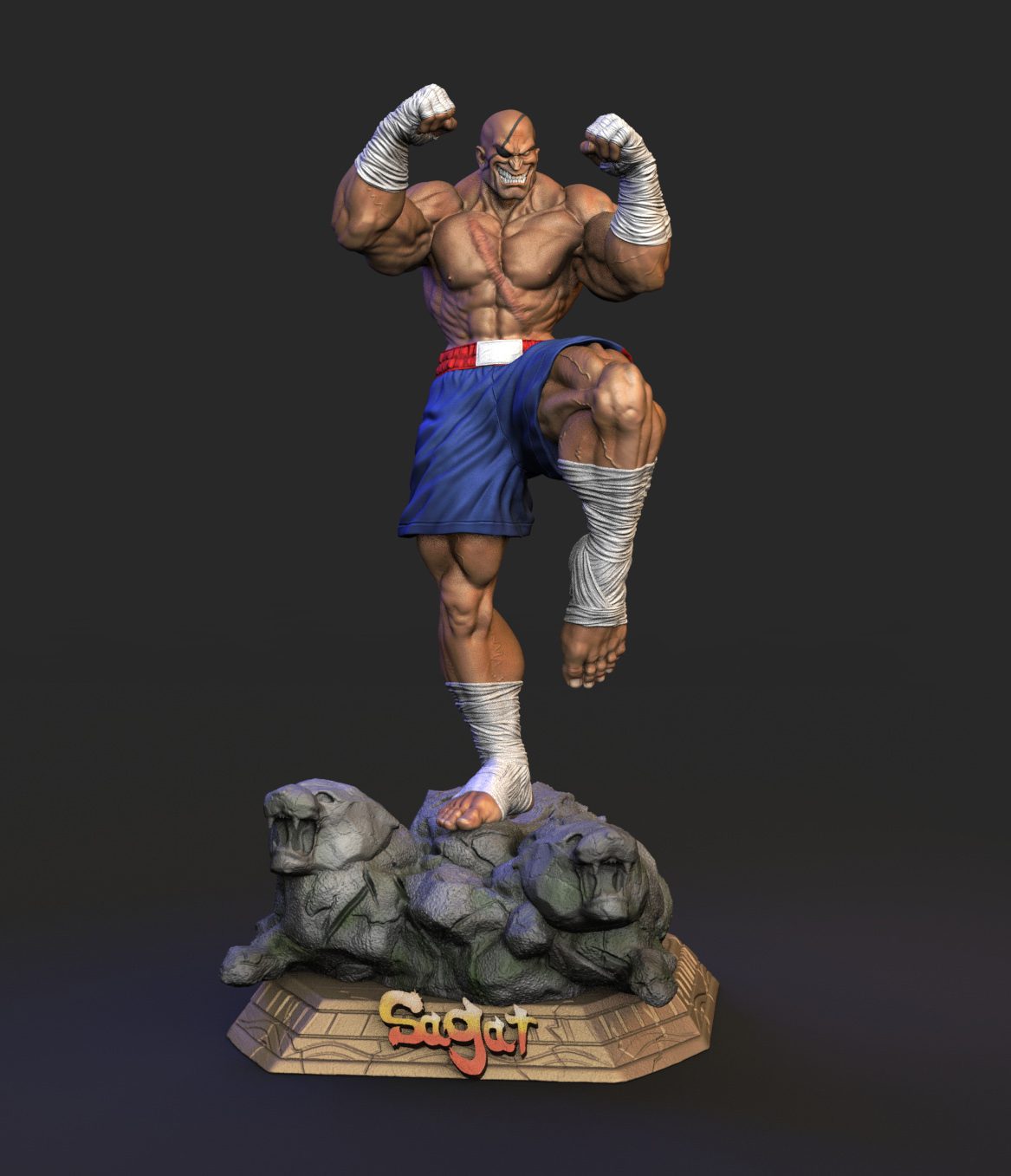 Sagat view 2