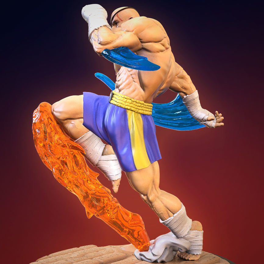 Sagat view 3