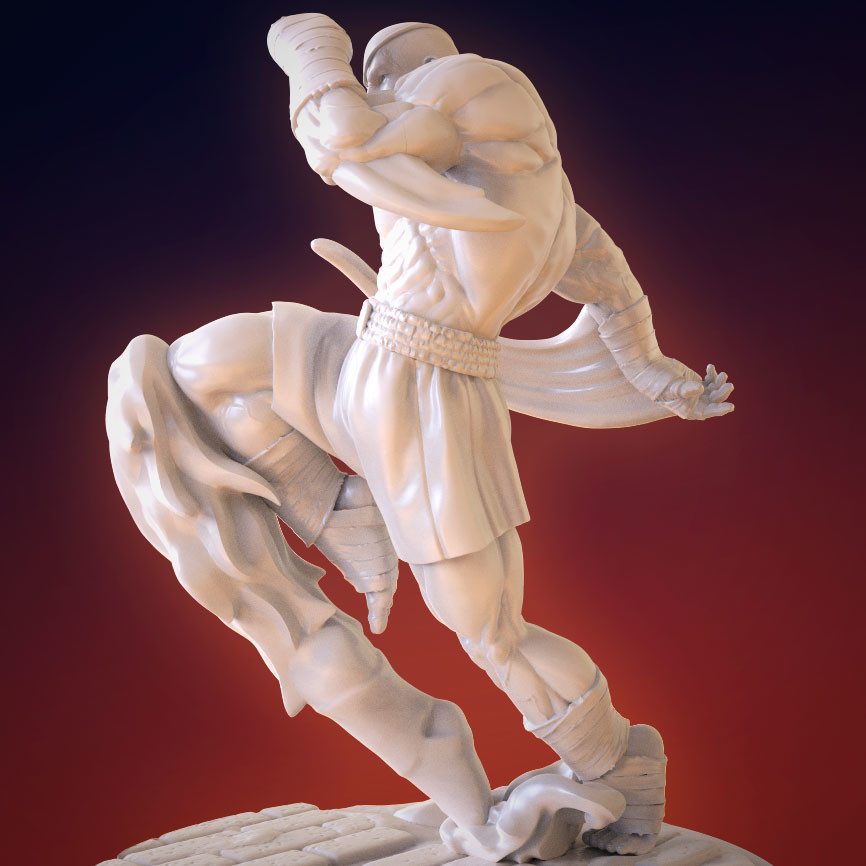 Sagat view 5