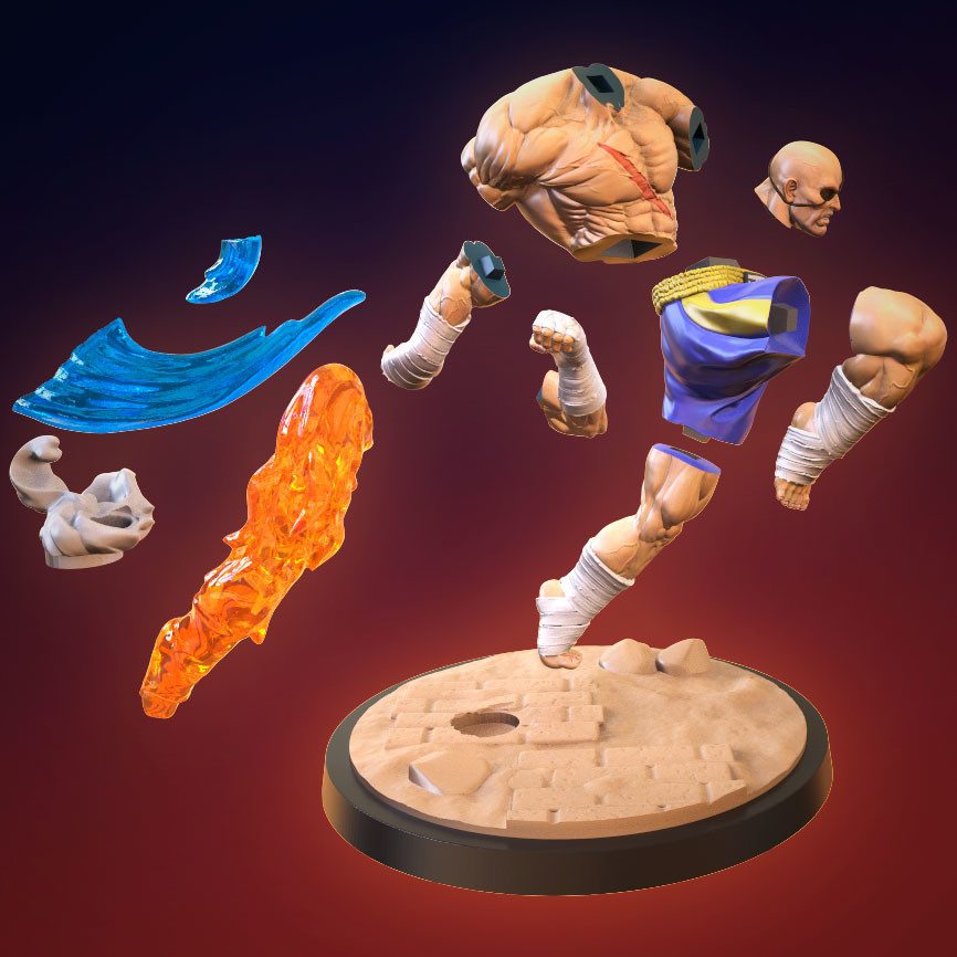 Sagat view 6