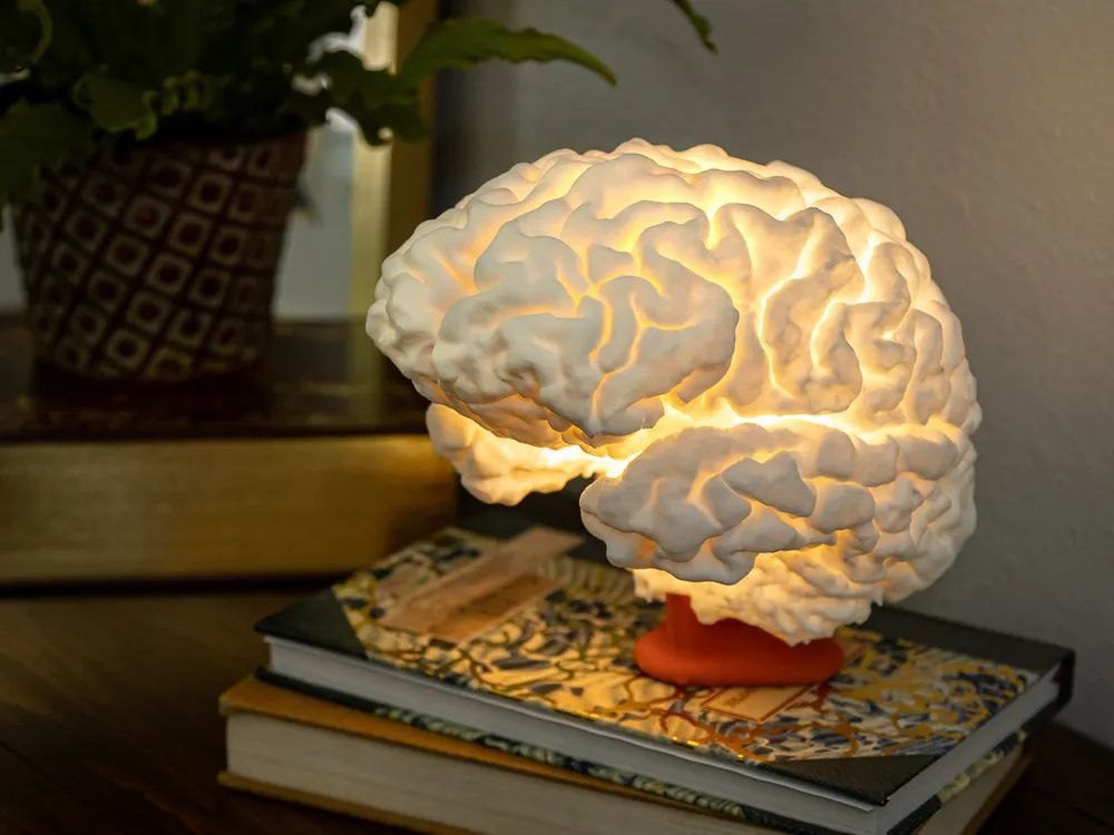 Brain Lamp