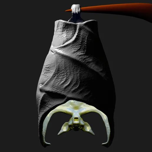 Hanging Bat