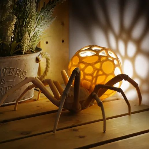 Spider
