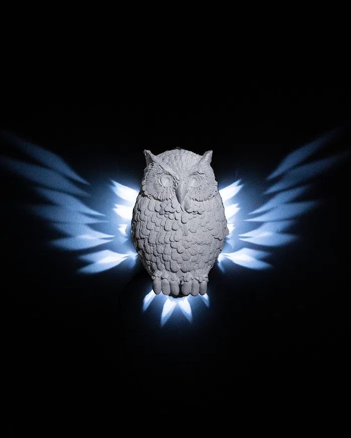 Day Owl