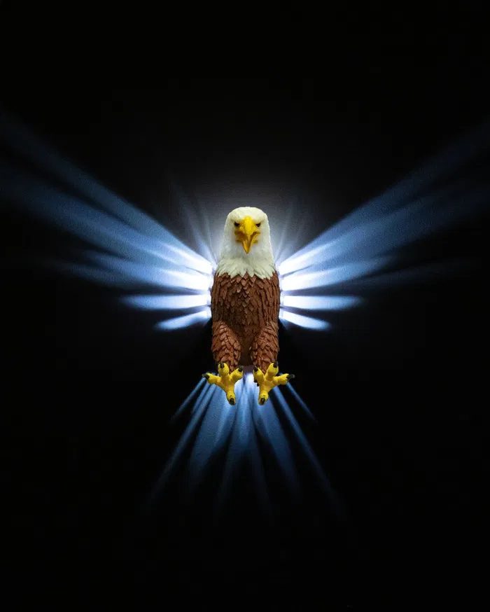 Eagle