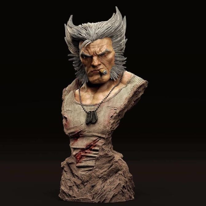 Logan Wolverine view 2