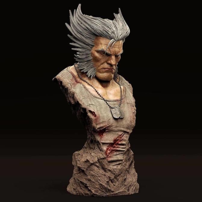 Logan Wolverine view 3