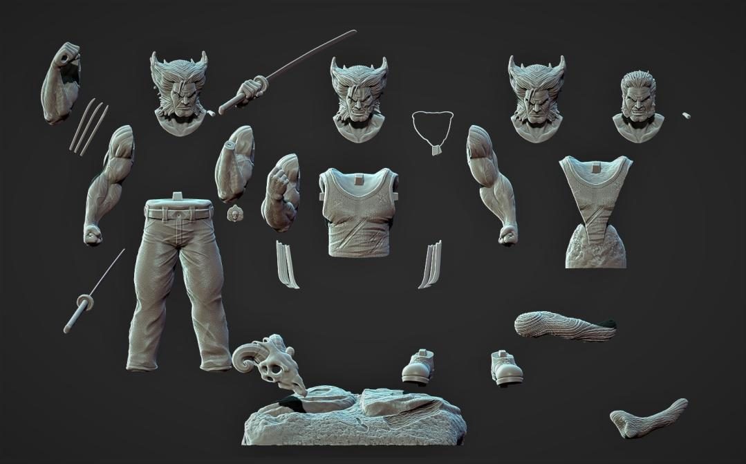 Logan Wolverine view 6