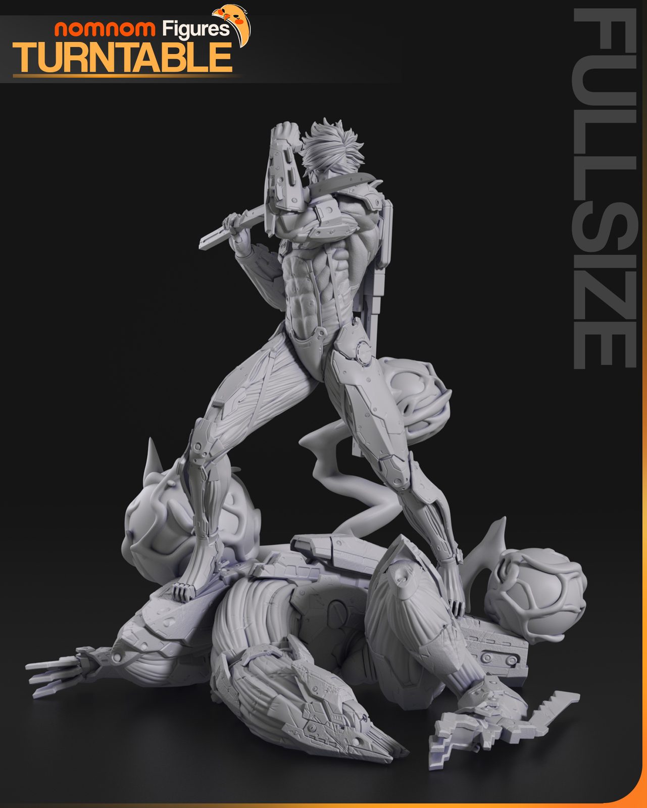 Raiden view 5