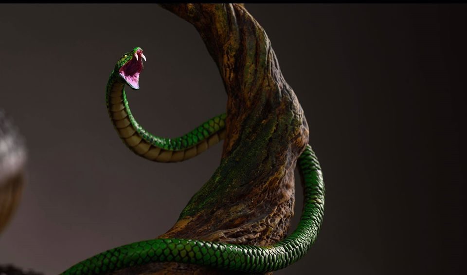 Naruto Orochimaru view 2