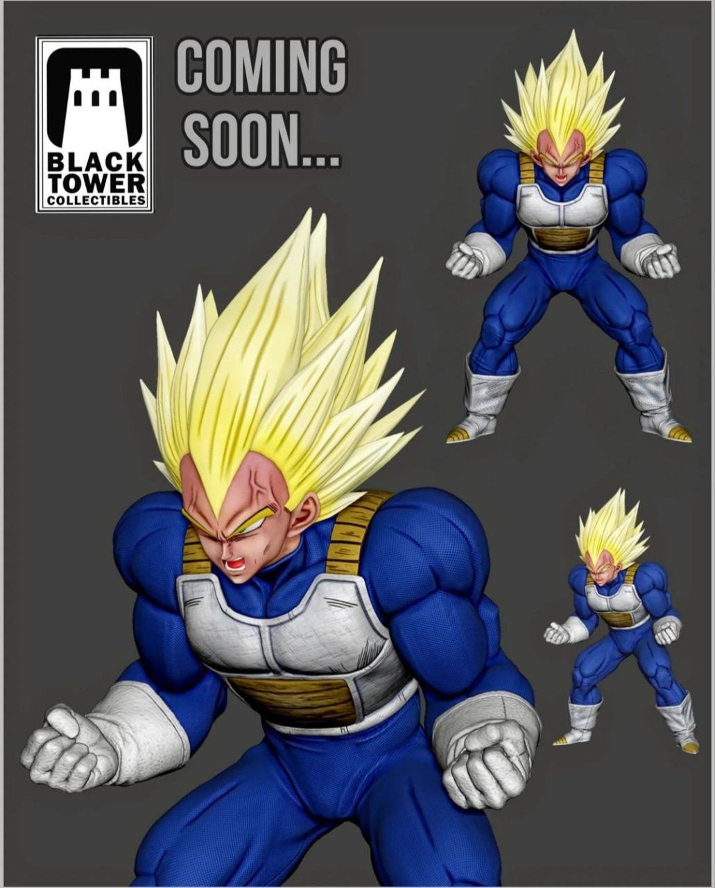 Black Tower Collectibles Super Vegeta view 2